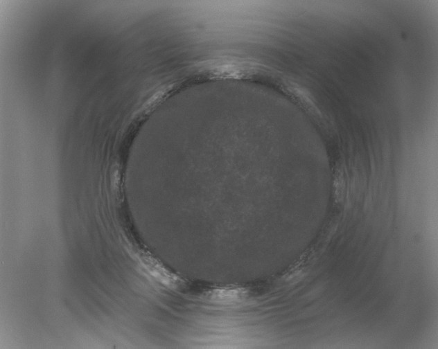 X0000078290314200611172129