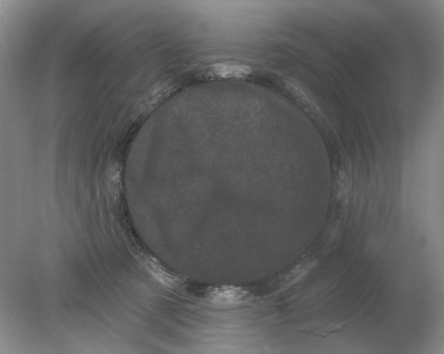 X0000078290321200611172129