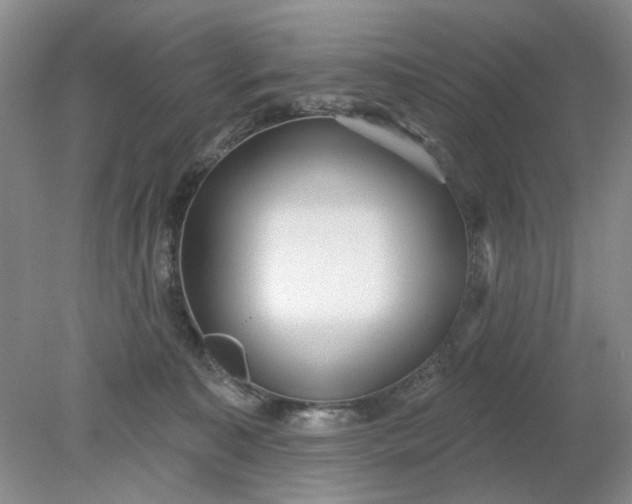 X0000078290323200611172129