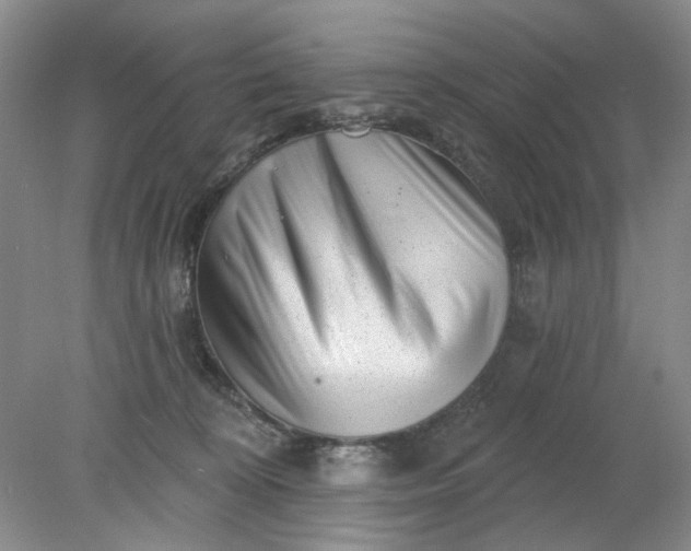 X0000078290324200611172129