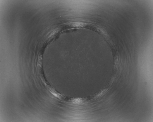 X0000078290325200611172129