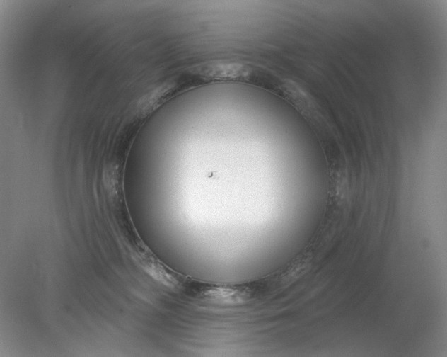 X0000078290326200611172129