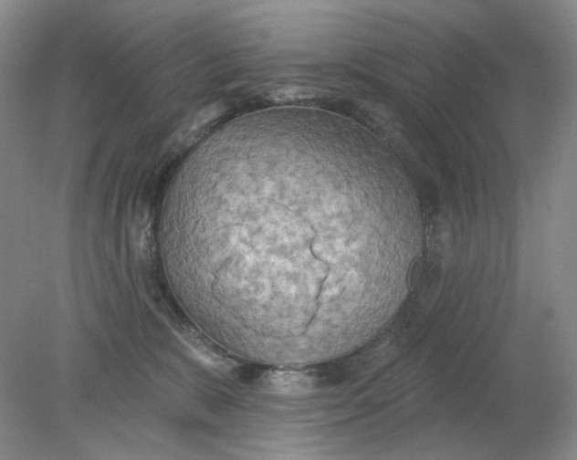 X0000078290327200611172129