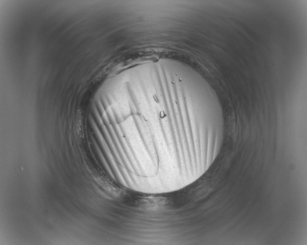 X0000078290328200611172129