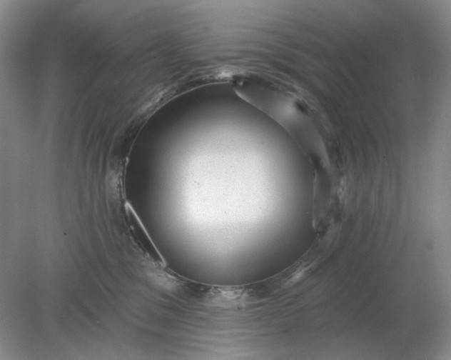 X0000078290329200611172129