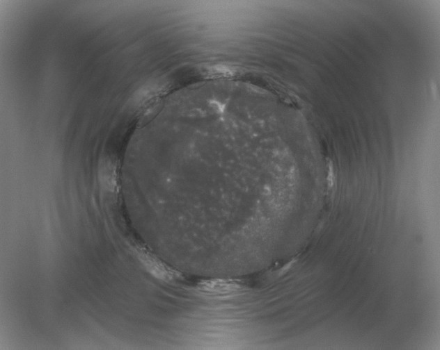 X0000078290331200611172129