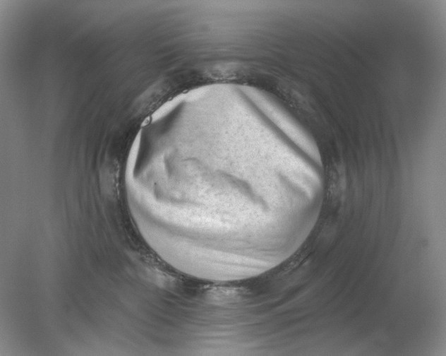 X0000078290332200611172129