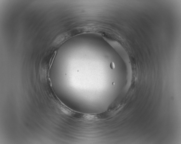 X0000078290333200611172129