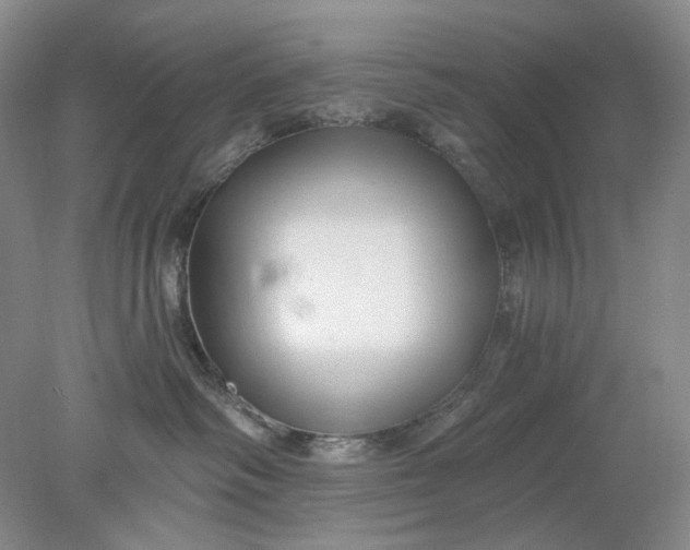 X0000078290334200611172129