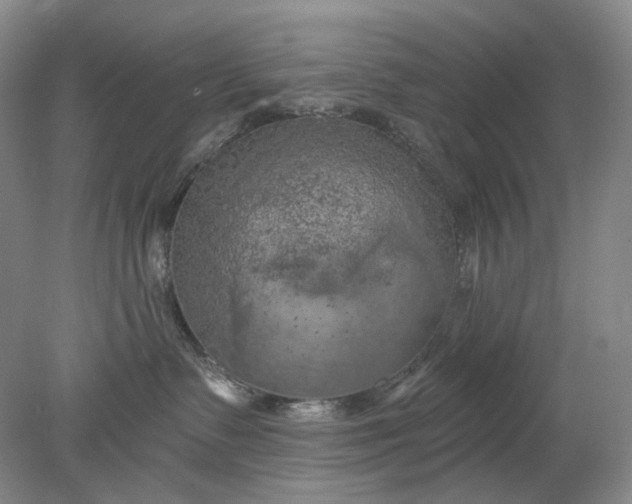 X0000078290335200611172129