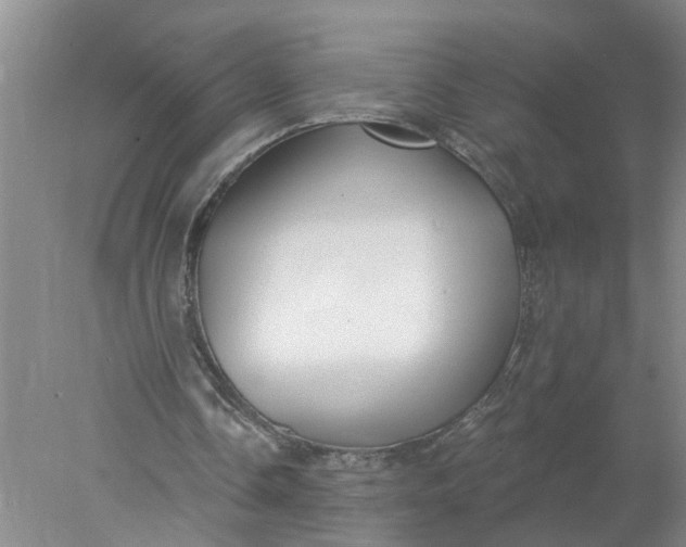 X0000078290338200611172128