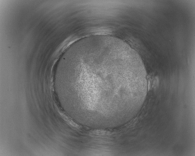 X0000078290339200611172128