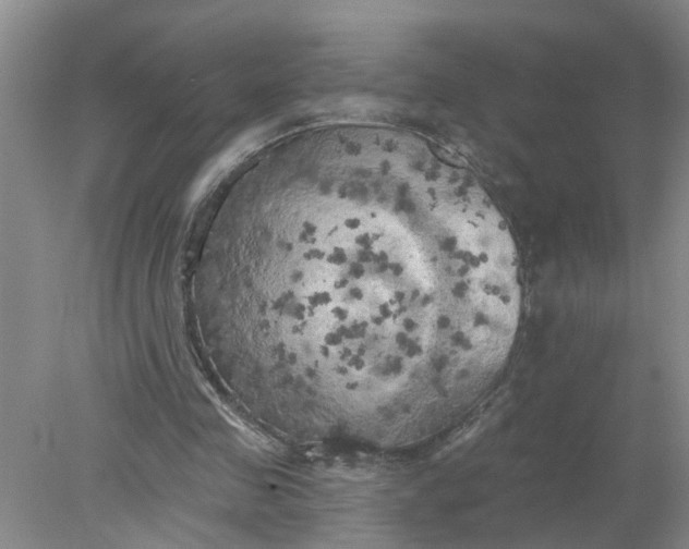 X0000078290341200611172128