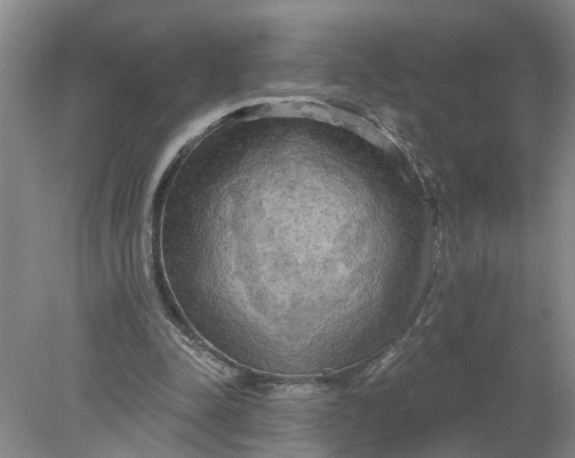 X0000078290342200611172128