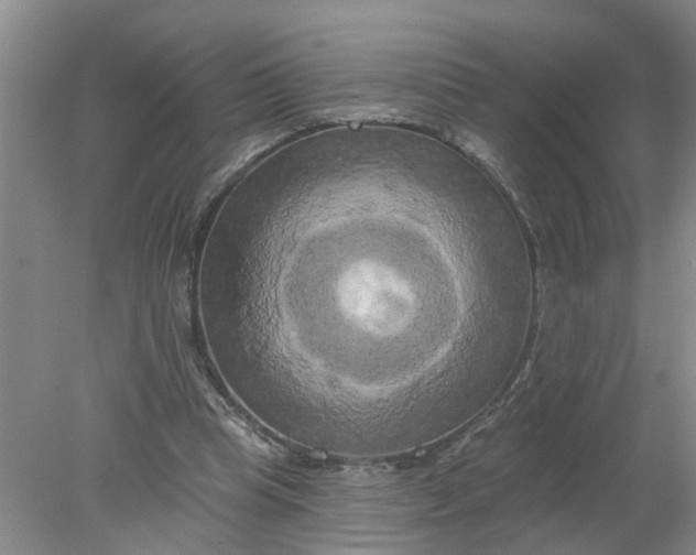 X0000078290345200611172128