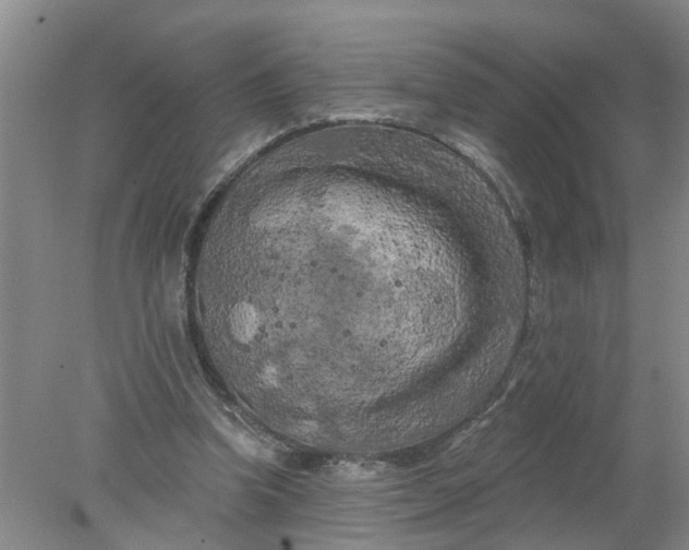 X0000078290346200611172128