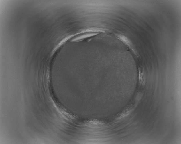 X0000078290348200611172128