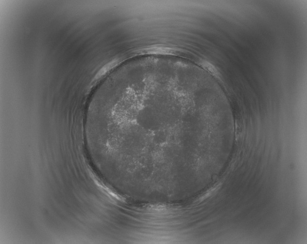 X0000078290349200611172128