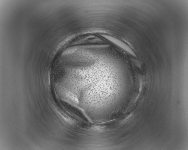 X0000078290350200611172128