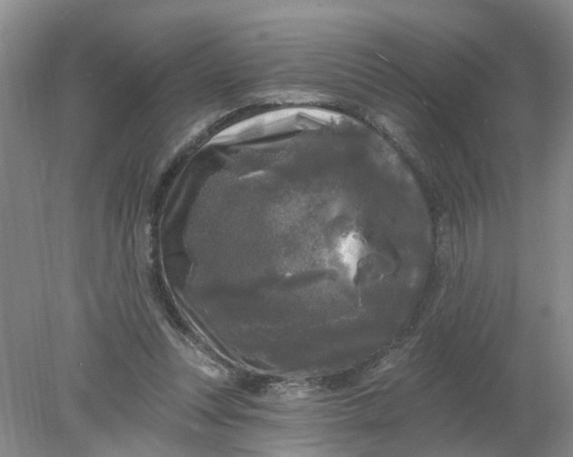 X0000078290351200611172128