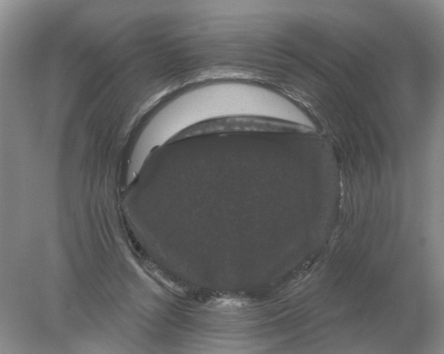 X0000078290352200611172128