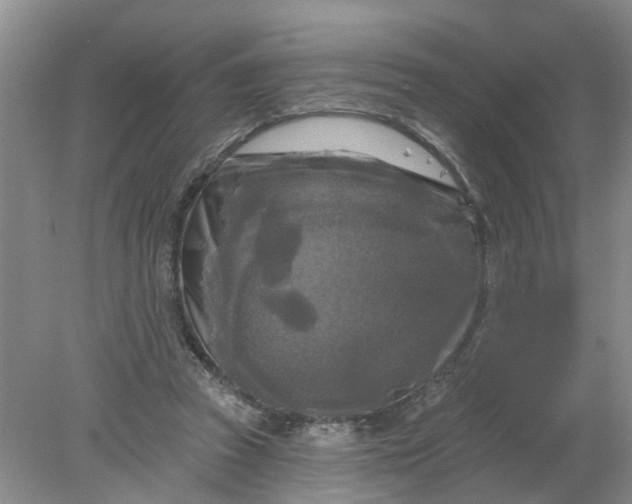 X0000078290353200611172128