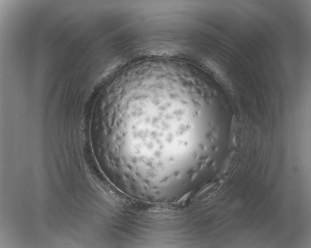 X0000078290354200611172128