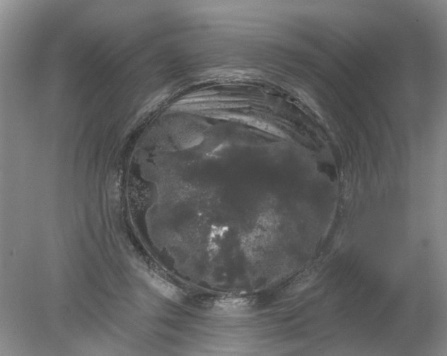 X0000078290357200611172128