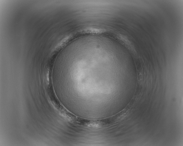 X0000078290358200611172128