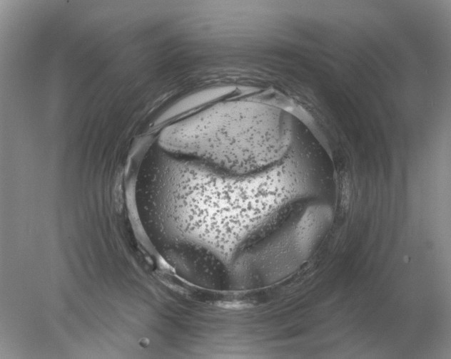 X0000078290360200611172128