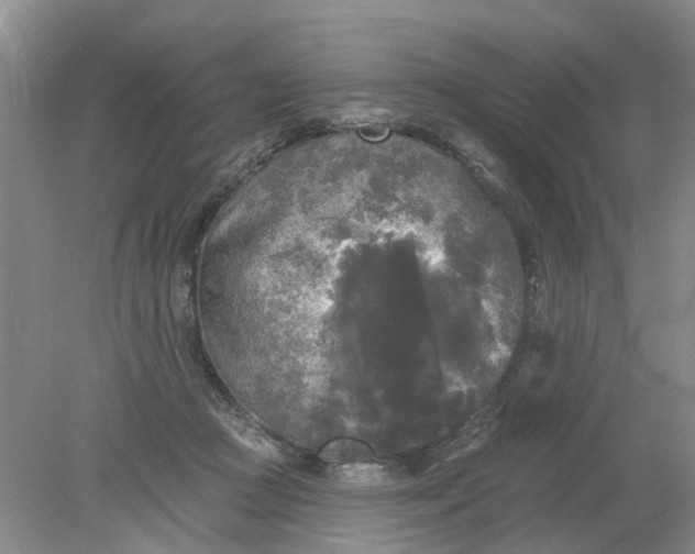 X0000078290361200611172128