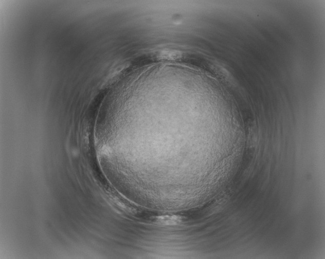 X0000078290363200611172128