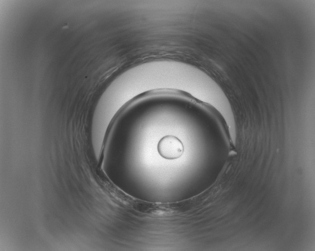 X0000078290364200611172128