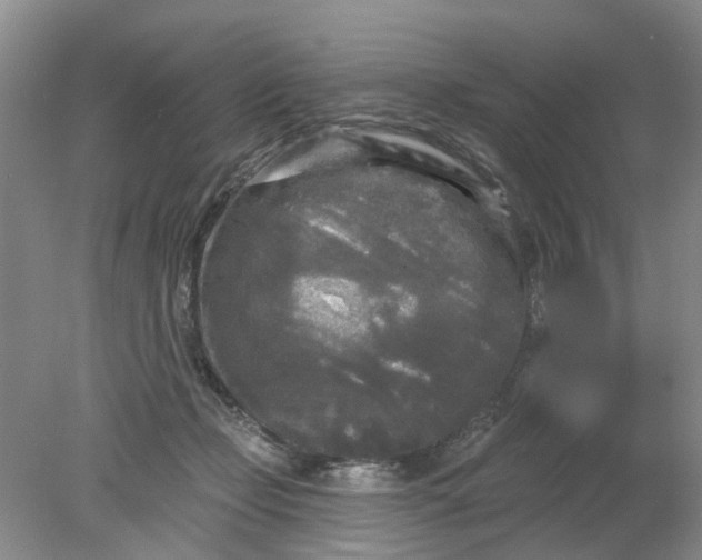 X0000078290365200611172128