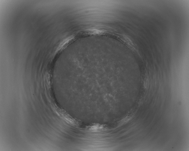 X0000078290366200611172128