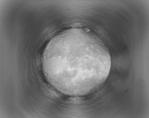 X0000078290367200611172128