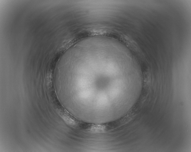 X0000078290369200611172128