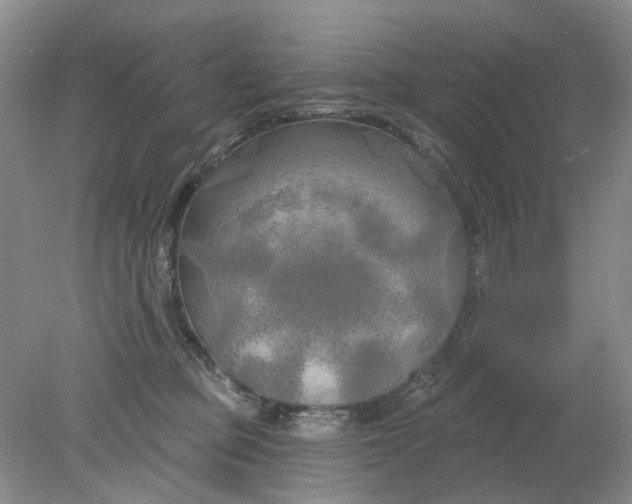 X0000078290373200611172128