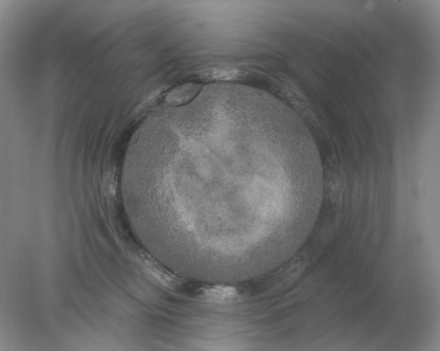 X0000078290374200611172128