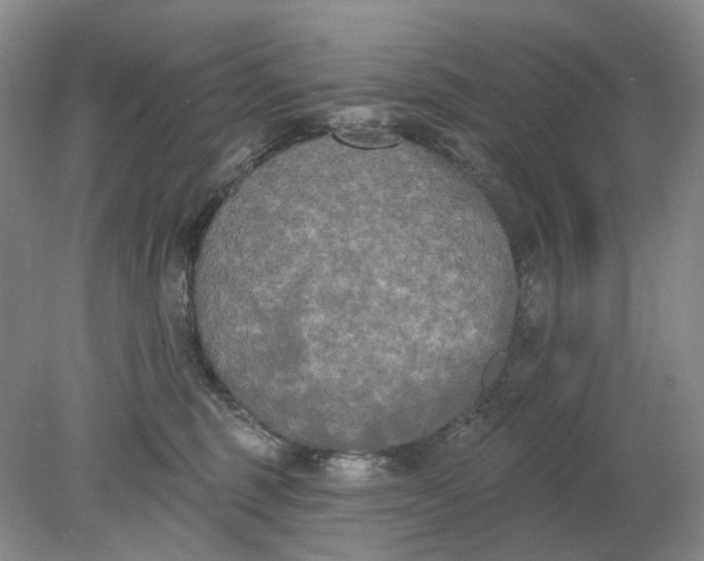 X0000078290375200611172128