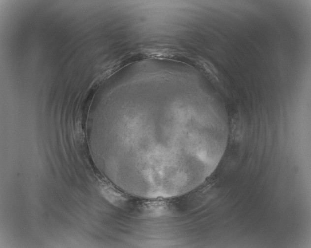 X0000078290377200611172129