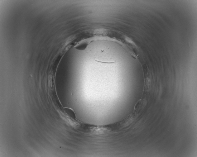 X0000078290379200611172129