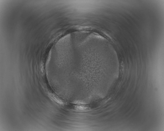 X0000078290380200611172129