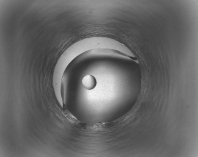 X0000078290384200611172129