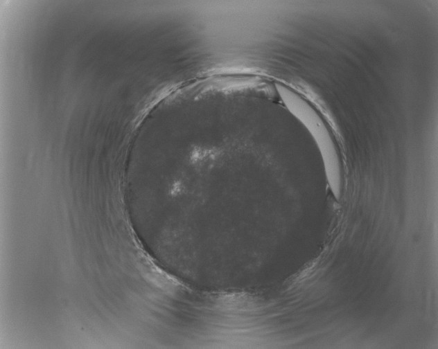 X0000078290385200611172128