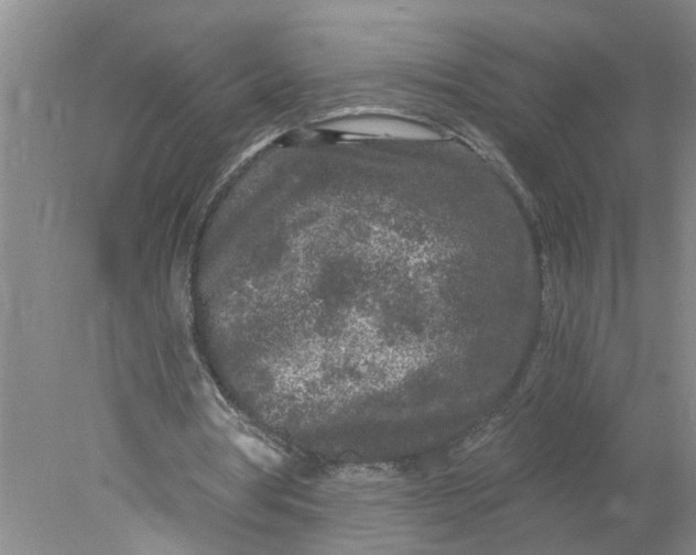 X0000078290386200611172128