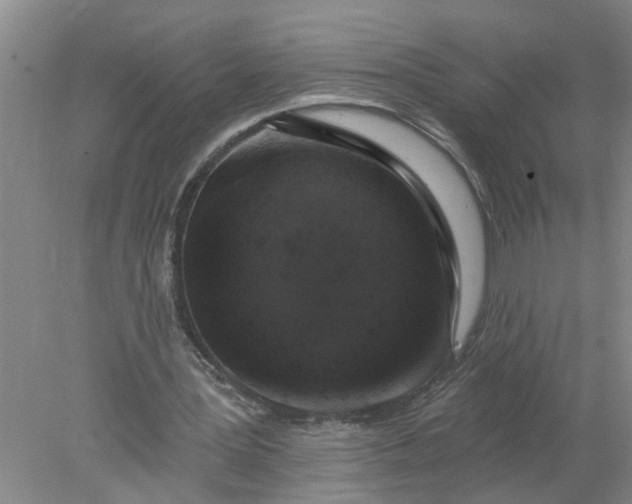 X0000078290387200611172128