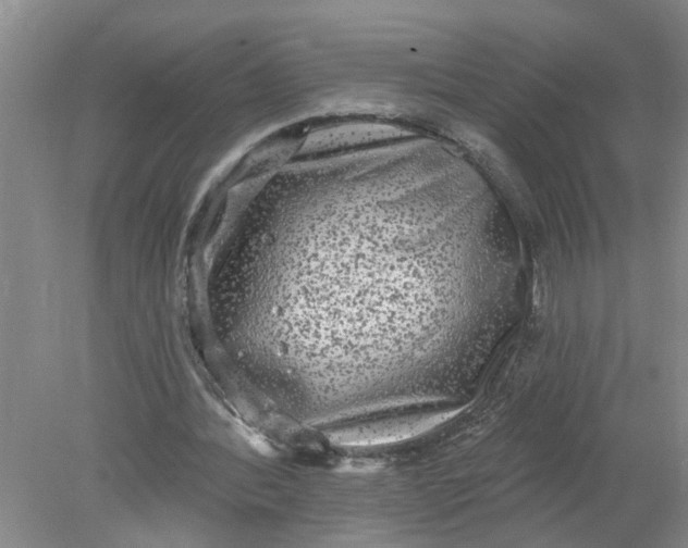 X0000078290388200611172128