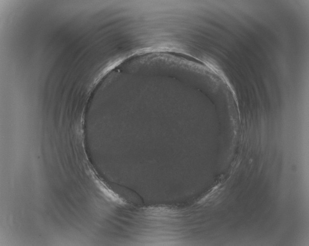 X0000078290389200611172128