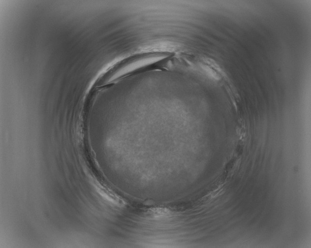 X0000078290392200611172128